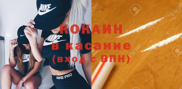 гидра Болохово