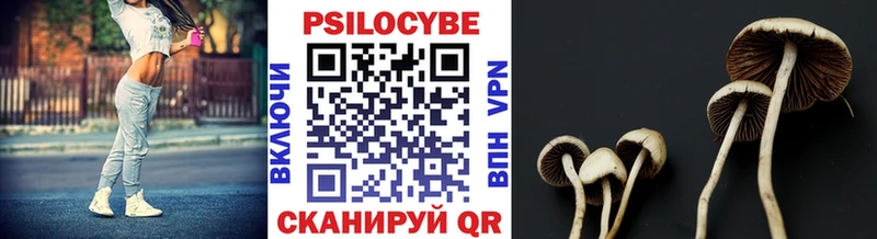 Псилоцибиновые грибы Cubensis  как найти закладки  blacksprut онион  Разумное 