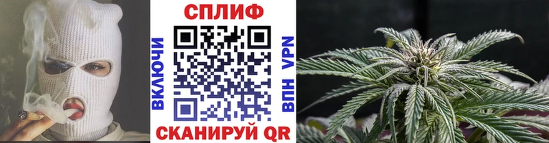 Бошки марихуана ГИДРОПОН  Разумное 